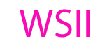 Waterlight Save Initiative Inc